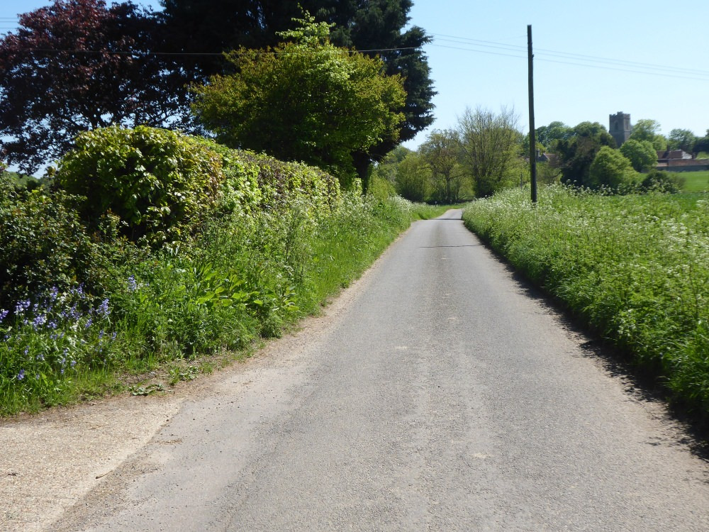 The Street looking towards the church