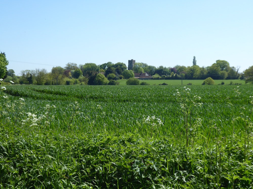 View towards church from B1115