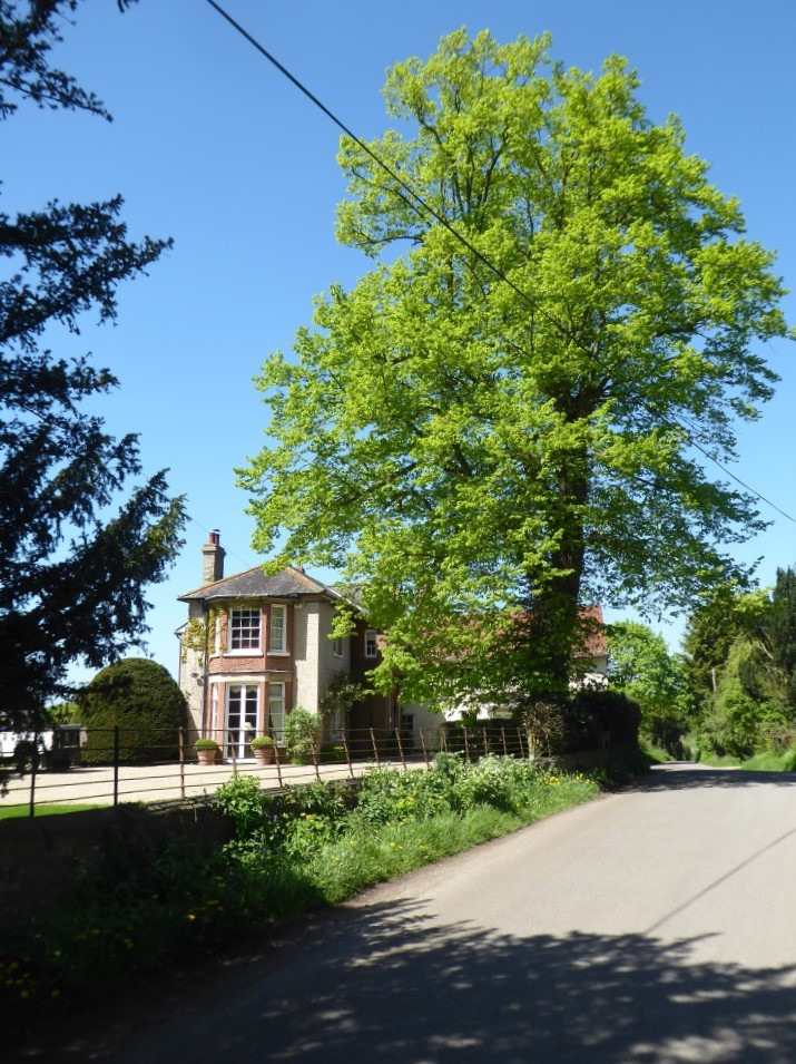 Waldingfield Lodge, The Street