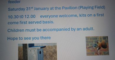 Your chance to build your own bird box or feeder